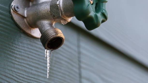 Best Local Plumber Services  in Los Ranchos De Albuquerque, NM